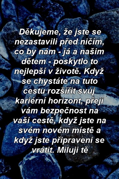 Děkujeme, že jste se nezastavili před ničím, co by nám - já a našim dětem - poskytlo to nejlepší v životě. Když se chystáte na tuto cestu rozšířit svůj kariérní horizont, přeji vám bezpečnost na vaší cestě, když jste na svém novém místě a když jste připraveni se vrátit. Miluji tě