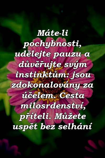 Máte-li pochybnosti, udělejte pauzu a důvěřujte svým instinktům: jsou zdokonalovány za účelem. Cesta milosrdenství, příteli. Můžete uspět bez selhání