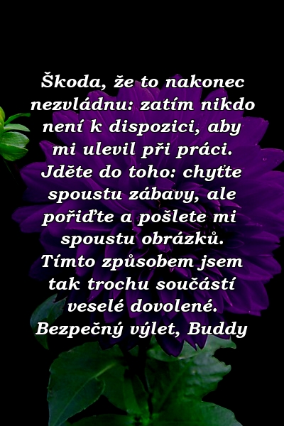 Škoda, že to nakonec nezvládnu: zatím nikdo není k dispozici, aby mi ulevil při práci. Jděte do toho: chyťte spoustu zábavy, ale pořiďte a pošlete mi spoustu obrázků. Tímto způsobem jsem tak trochu součástí veselé dovolené. Bezpečný výlet, Buddy