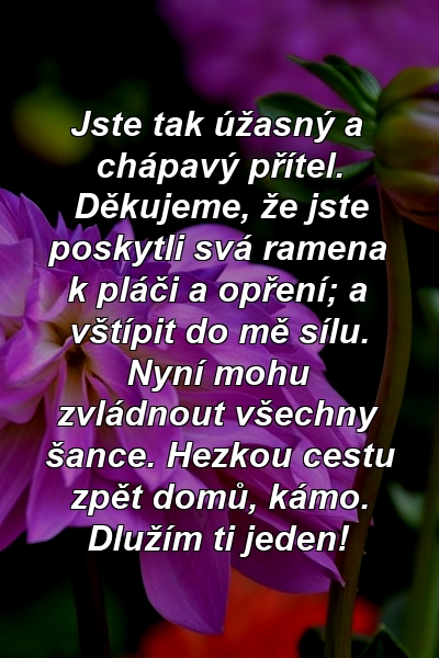 Jste tak úžasný a chápavý přítel. Děkujeme, že jste poskytli svá ramena k pláči a opření; a vštípit do mě sílu. Nyní mohu zvládnout všechny šance. Hezkou cestu zpět domů, kámo. Dlužím ti jeden!