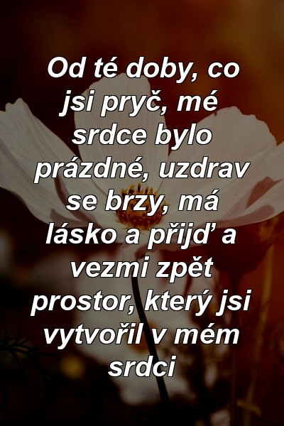 Od té doby, co jsi pryč, mé srdce bylo prázdné, uzdrav se brzy, má lásko a přijď a vezmi zpět prostor, který jsi vytvořil v mém srdci