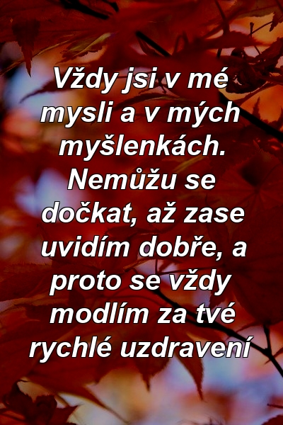 Vždy jsi v mé mysli a v mých myšlenkách. Nemůžu se dočkat, až zase uvidím dobře, a proto se vždy modlím za tvé rychlé uzdravení