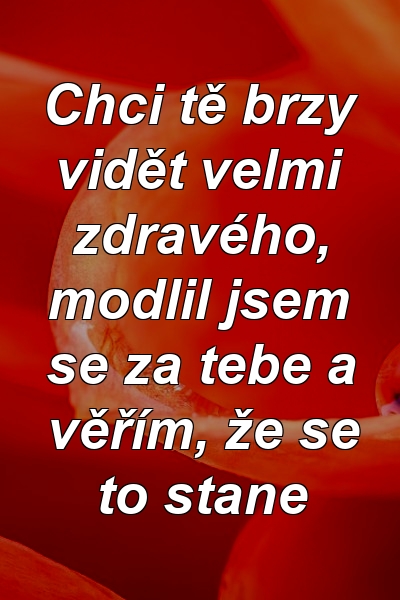 Chci tě brzy vidět velmi zdravého, modlil jsem se za tebe a věřím, že se to stane